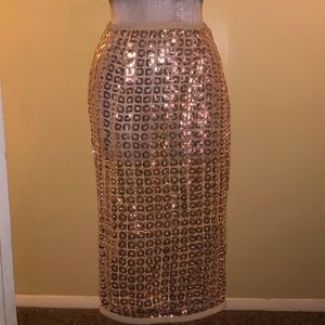 Gold sheer/sequin skirt